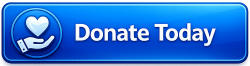 Donate now button